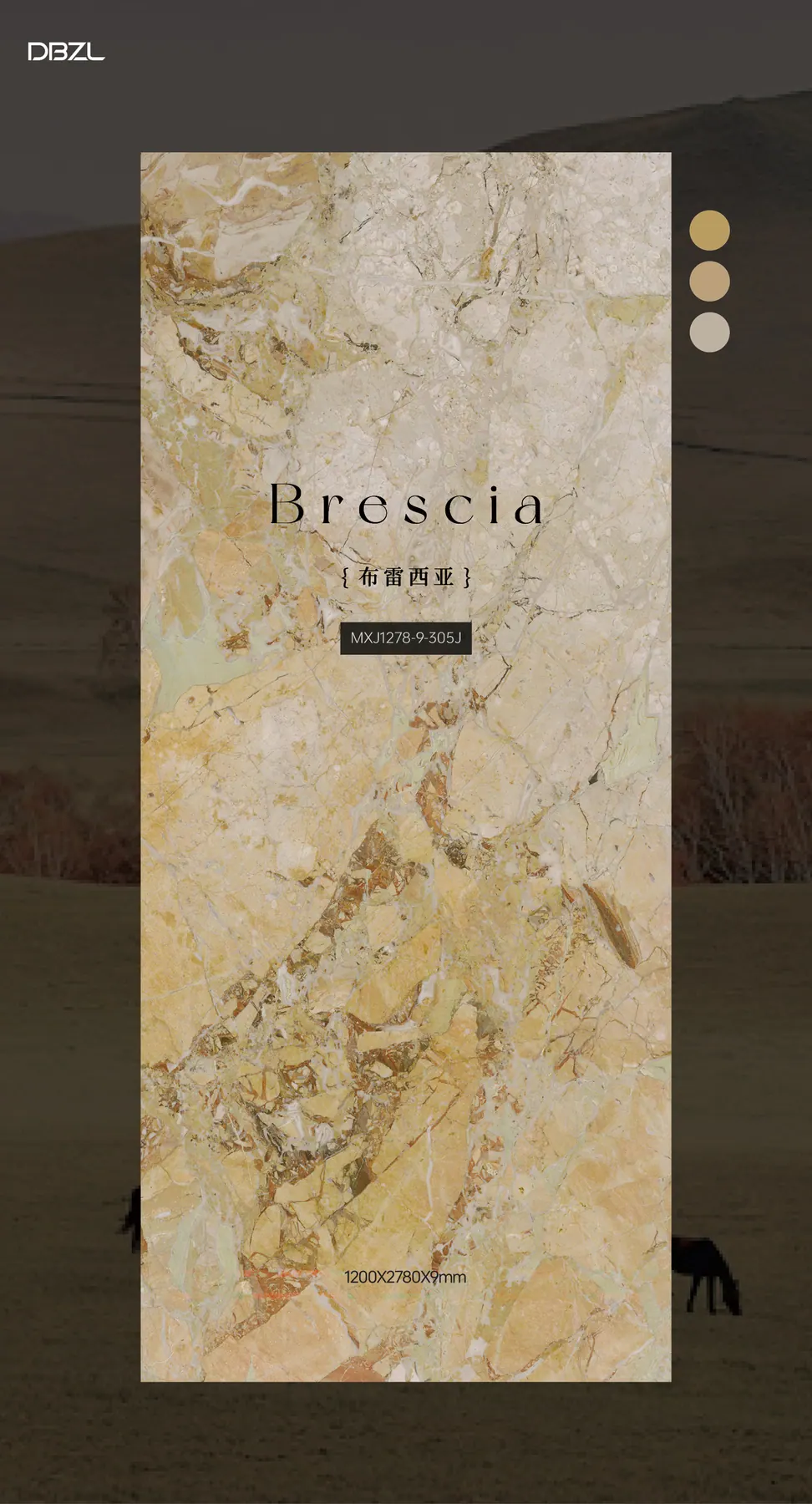 Brescia view 2